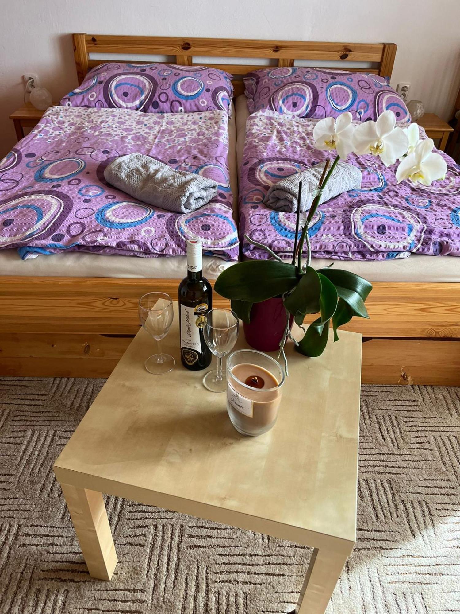 Apartman Za Kostelem Zvole  Værelse billede